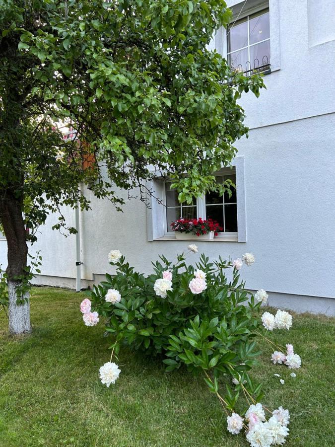 Apartamenty Stokrotka Ladek-Zdroj Exterior photo